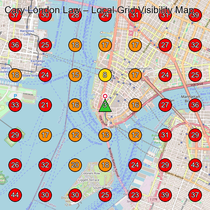 Cary London Law GeoGrid visibility map for Legal Services in New York